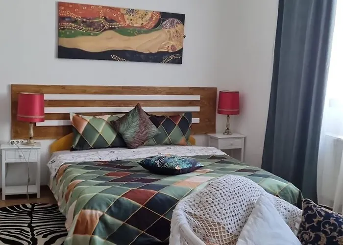 The Jungle Central * קלוז'-נאפוקה