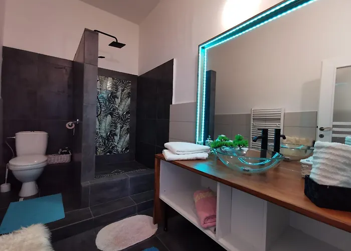 Apartment The Jungle Central