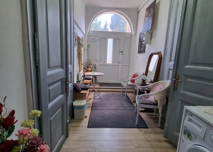 Apartment The Jungle Central Cluj-Napoca